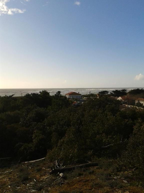 Hôtel de la Petite Plage Saint-Georges-d'Oleron Exterior foto